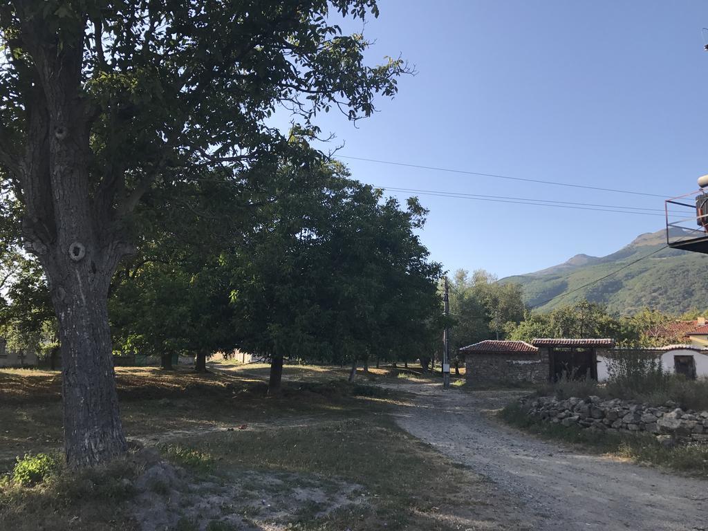 Guesthouse Planinsko Gnezdo Tuzha Экстерьер фото